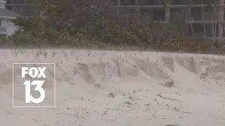 Pinellas County's restored dunes tested during Florida severe weather system