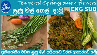 Tempered Spring Onion Flowers| ලූණු මල් තෙම්පරාදුව| Lunu Mal Theldala|Spring Onion Fry | Lunu Mal