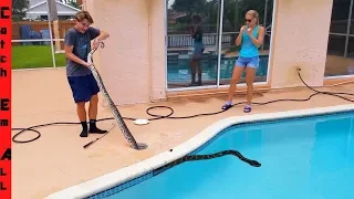 12 FOOT MONSTER Stuck in MY POOL!