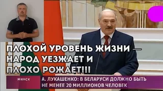 Беларусь голосует ногами против Лукашенко!