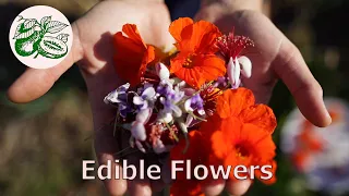 Edible Flowers, eat the rainbow.