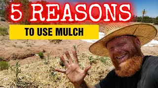 5 Reasons to use MULCH | High Desert of Arizona