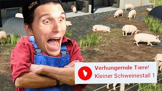 Der größte Schweinezüchter Deutschlands | Farm Manager World