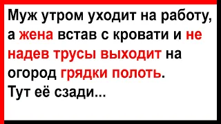 Жена без трусов вышла на огород грядки полоть... Анекдоты! Юмор! Позитив!