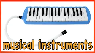 Musical Instruments Sounds for Kids | Learn the Voice, Tone, and Melody
