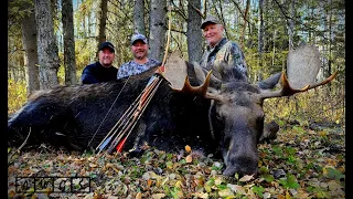 Archery Canada Moose hunts with AWGS in Alberta, Canada - 2023 Season