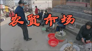 Печеная кровь и красная морковь: идем закупаться на китайский рынок