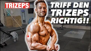 Warum dein Trizeps NICHT wächst & deine Arme DÜNN bleiben! (3 NEUE STUDIEN!)