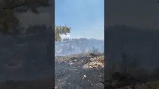 Καταστροφές από τη φωτιά στο Σέιχ Σου