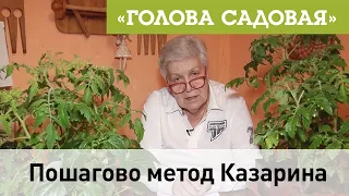 Голова садовая - Пошагово метод Казарина