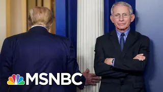 Fauci: Coronavirus Testing Is Just Part Of What We Need | The 11th Hour | MSNBC