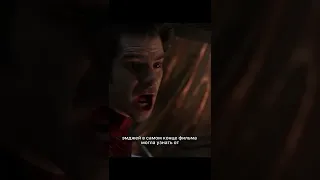 Стэн Ли камео в фильме «Человек паук нет пути домой», интересные факты про кино