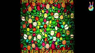 The 13th Floor Elevators - 04 - Rollercoaster (by EarpJohn)