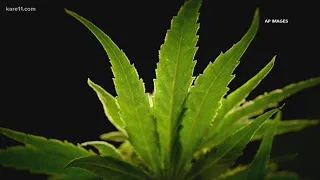 Legalizing recreational marijuana in the United States