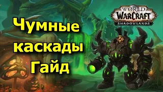 Разбор полетов #12 Чумные каскады [WoW: Shadowlands]