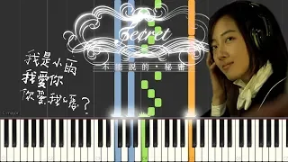 路小雨 Lu Xiao Yu (Piano Tutorial by Javin Tham) 《不能說的·秘密》OST