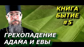 Грехопадение Адама и Евы в раю. Древо познания добра и зла. Толкование на книгу Бытие глава 3