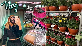 Большой VLOG - Моя Повседневная Жизнь🌼/ Съемки Shorts, Бьюти Рутина, Мои Покупки, Йога, Питание