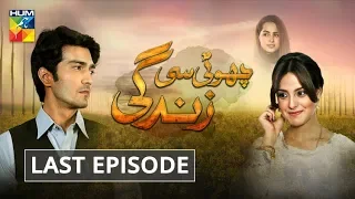 Choti Si Zindagi Last Episode HUM TV Drama