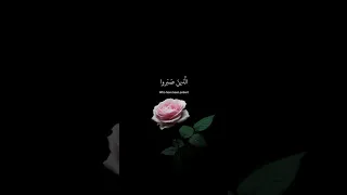 Quran black screen video beautiful tilawat WhatsApp status #viral #islamic #shortvideo🍁