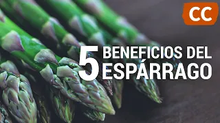 5 Beneficios de los Espárragos | Ciencia de la Comida