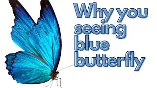 BLUE BUTTERFLY MEANING!! WHY YOU SEEING BLUE BUTTERFLY🦋!! 🤩WISH GRANTER
