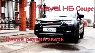 Haval h6 Coupe - Дикий редкий зверь. (Хавэйл h6 Купе)