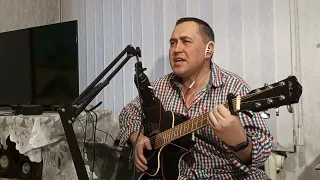 Владислав Агафонов " Лебеди " cover