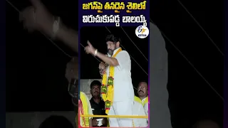 జగన్‌పై తనదైన శైలిలో  విరుచుకుపడ్డ బాలయ్య