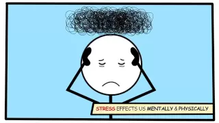 Effects of Stress