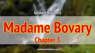 Madame Bovary Audiobook Chapter 3 with subtitles