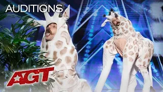 Umm? A Giraffe Auditions For Simon Cowell - America's Got Talent 2019