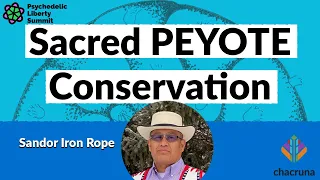 Sacred Peyote Conservation | PLS