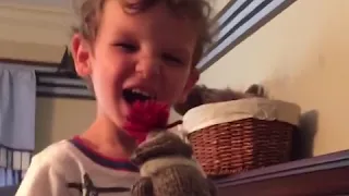 kids funny videos try not to laugh