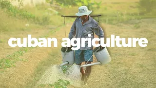 How Cuban agriculture went from industrial to sustainable