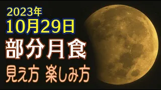 【部分月食】夜明けの2023年月食ハイライト！2024年の月食にさよならをーこれを見逃すな！(2023年10月29日満月)