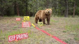 Bear Spray Scenarios & Demonstration