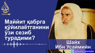 "Маййит қабрга қўйилаётганини ўзи сезиб турадими?" Шайх Ибн Усаймийн