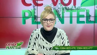 ce vor plantele cristina ghibu partea 1 2022 01 17