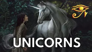Unicorns | The Paragon of Purity