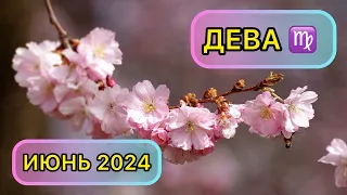 ДЕВА - ТАРО ПРОГНОЗ / ДЕВА ИЮНЬ 2024 / ТАРО ПРОГНОЗ НА ИЮНЬ 2024 #таро #дева #июнь #тарорасклад