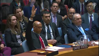 EEUU veta la entrada de Palestina en la ONU como miembro de pleno derecho