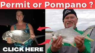 **Surf Fishing Time! - Permit VS Pompano**.  Is it a Permit or a Pompano.