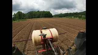 Weed Control In Pumpkins