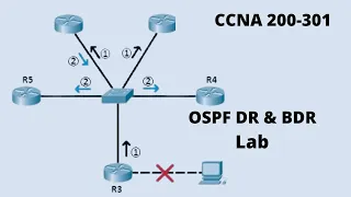 68.OSPF DR/BDR Election Lab in Packet tracer | Networkforyou | CCNA