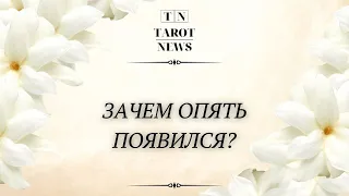 ЗАЧЕМ ОПЯТЬ ПОЯВИЛСЯ?