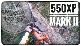 Husqvarna 550XP Mark II mit 45er Schiene im Käferholz, Gopro Uncut