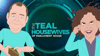 The Teal Housewives | Pauline Hanson's Please Explain