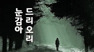 남인수 - 눈감아 드리오리