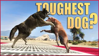 GTA V - Which is the Toughest Dog?